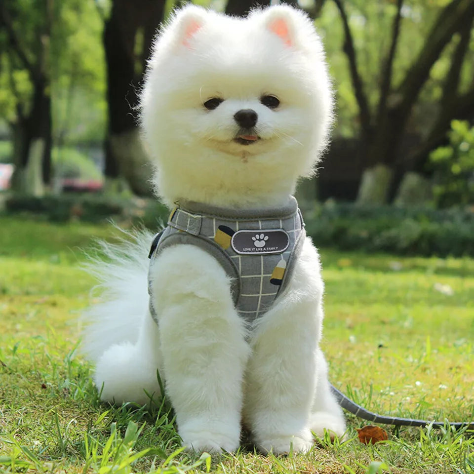 Cute soft mesh vest harness and lead, breathable and reflective for a small dog, puppy and cat