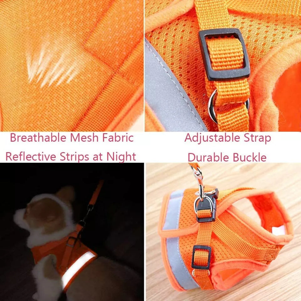 Breathable, light weight mesh vest harness and lead set, reflective and soft for small dogs, puppies and cats